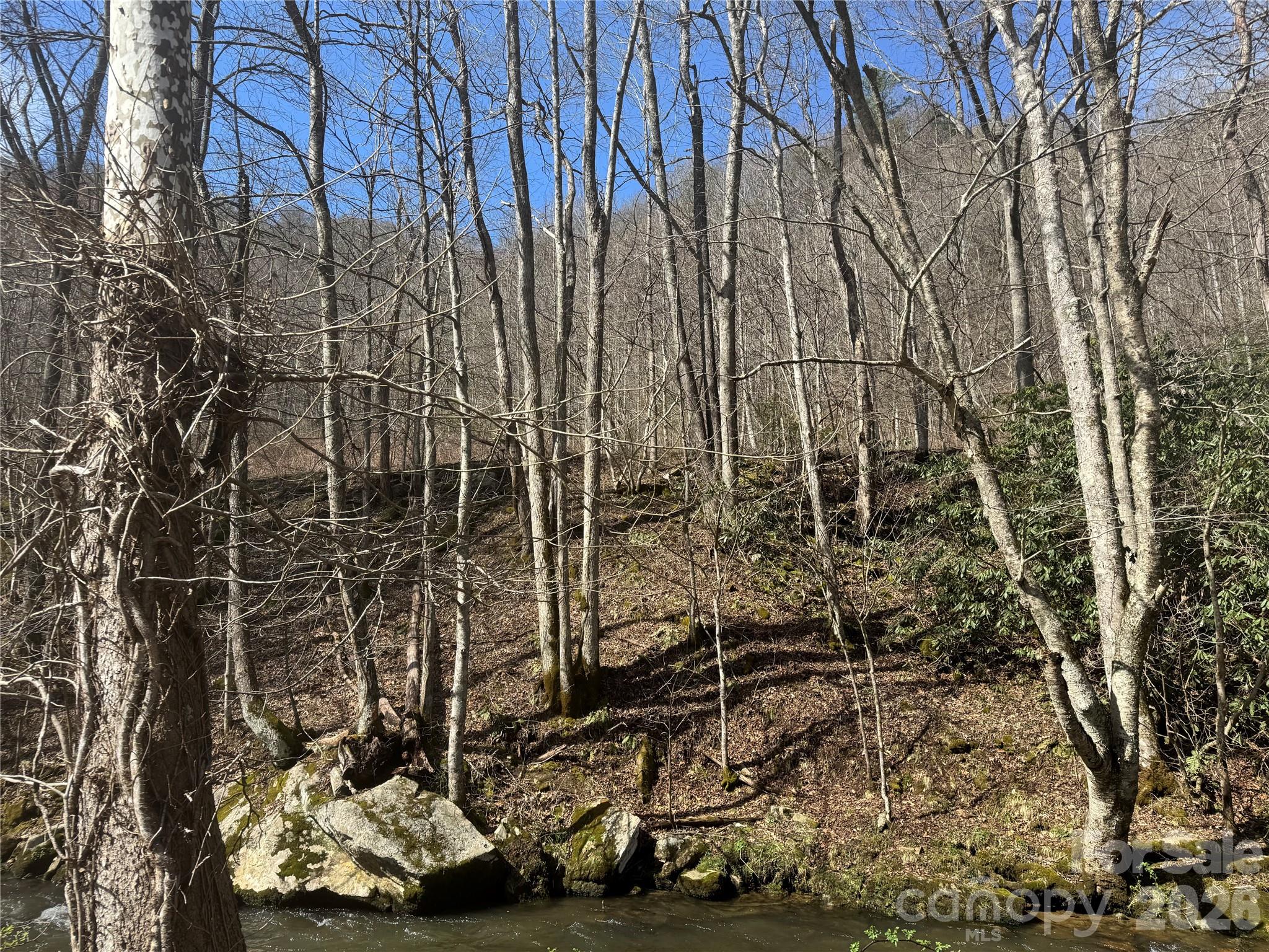 11288 Big Laurel Road Marshall, NC 28753 - Photo 17 of 33