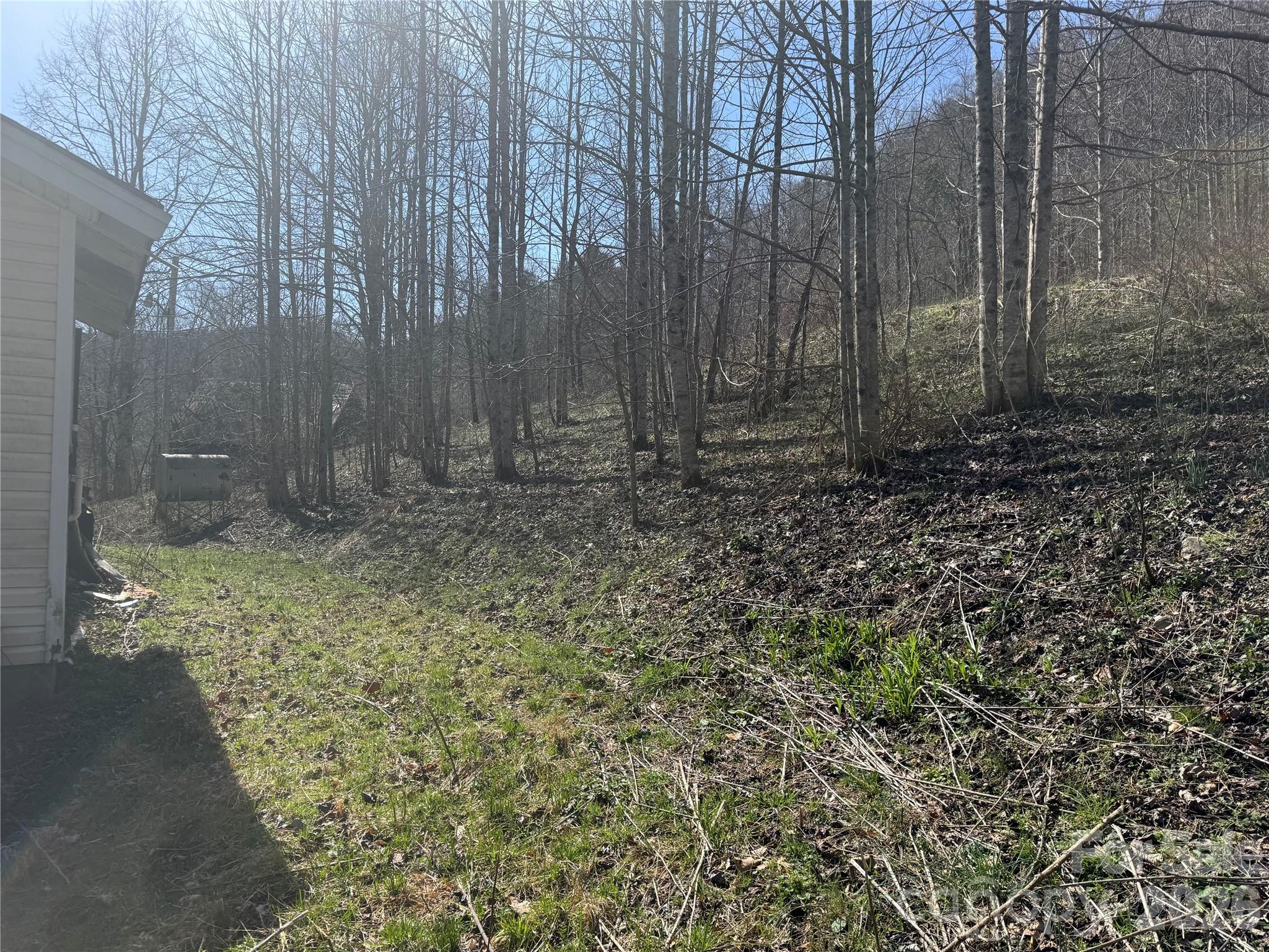 11288 Big Laurel Road Marshall, NC 28753 - Photo 18 of 33