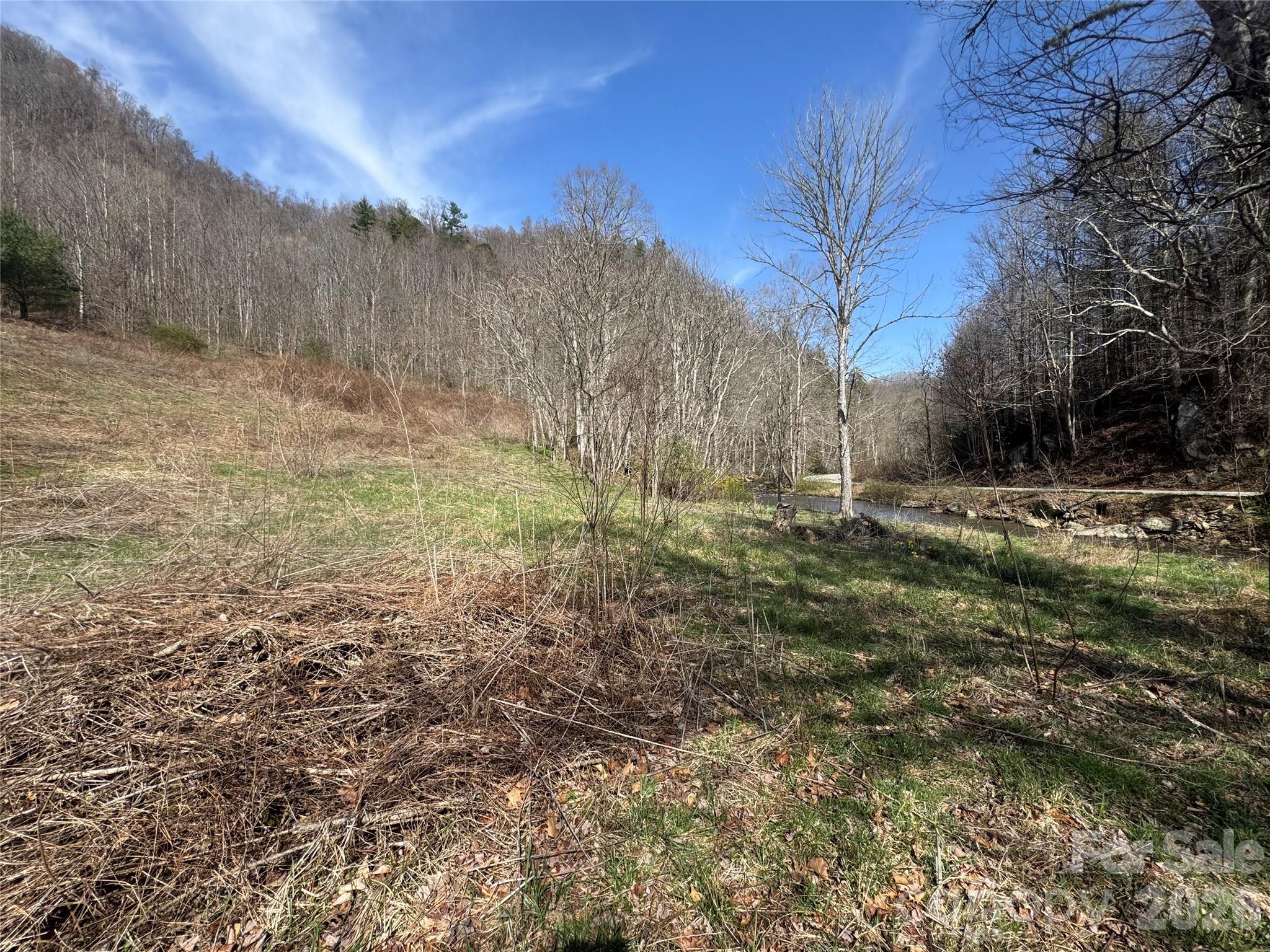 11288 Big Laurel Road Marshall, NC 28753 - Photo 19 of 33