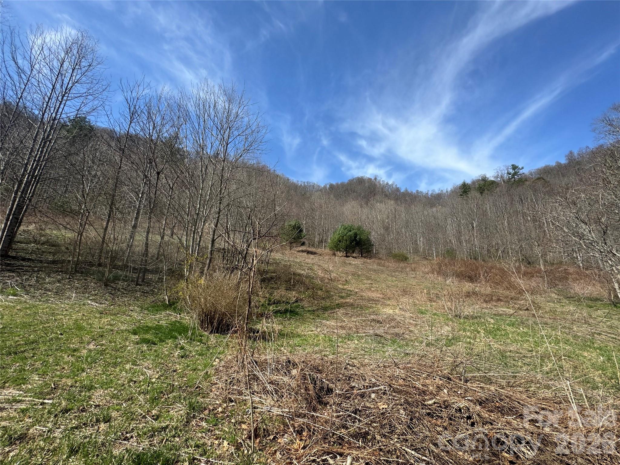 11288 Big Laurel Road Marshall, NC 28753 - Photo 20 of 33