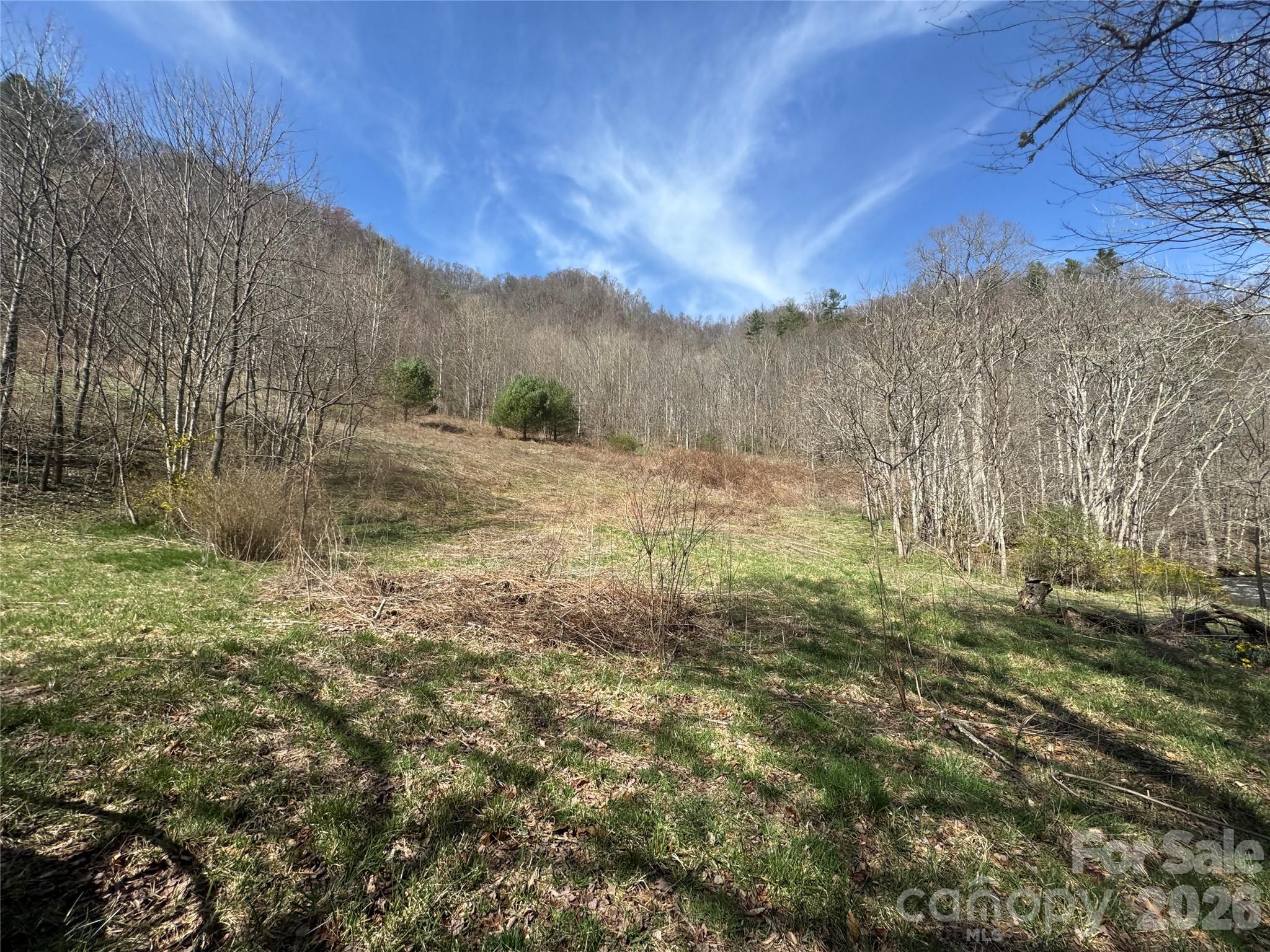 11288 Big Laurel Road Marshall, NC 28753 - Photo 22 of 33