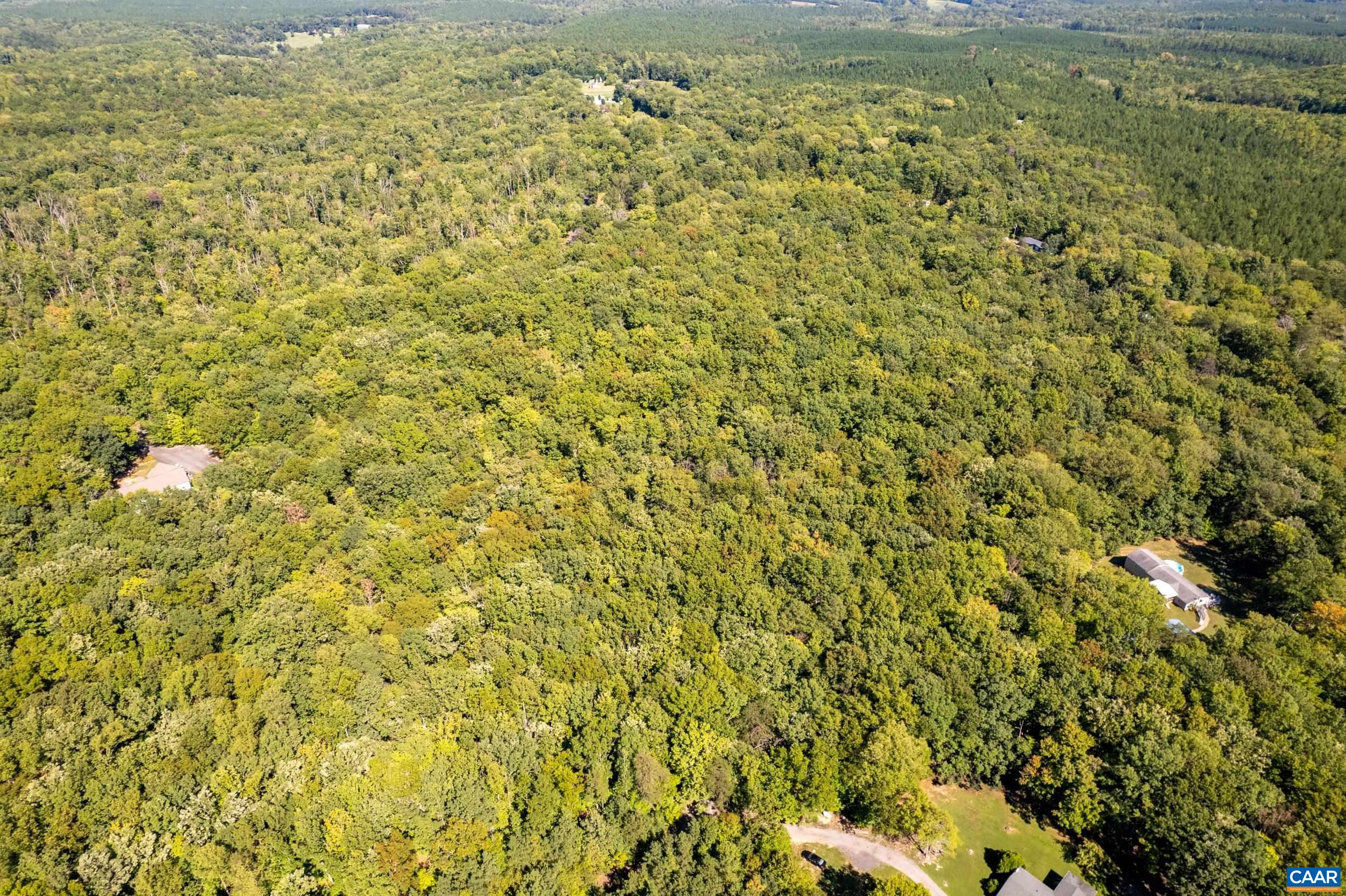 0 Chestnut Grove Road Esmont, VA 22937 - Photo 14 of 36 Gallery Image 14