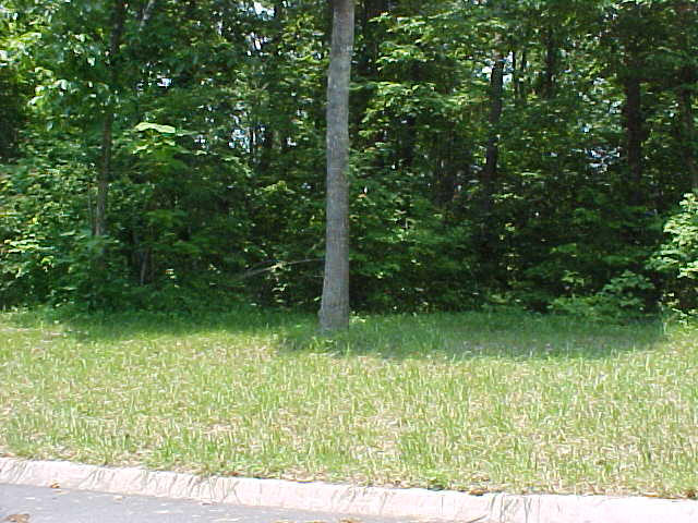 Lot 53 Cherokee Drive Rutledge, TN 37861 - Photo 3 of 3 Lot 53 (2)