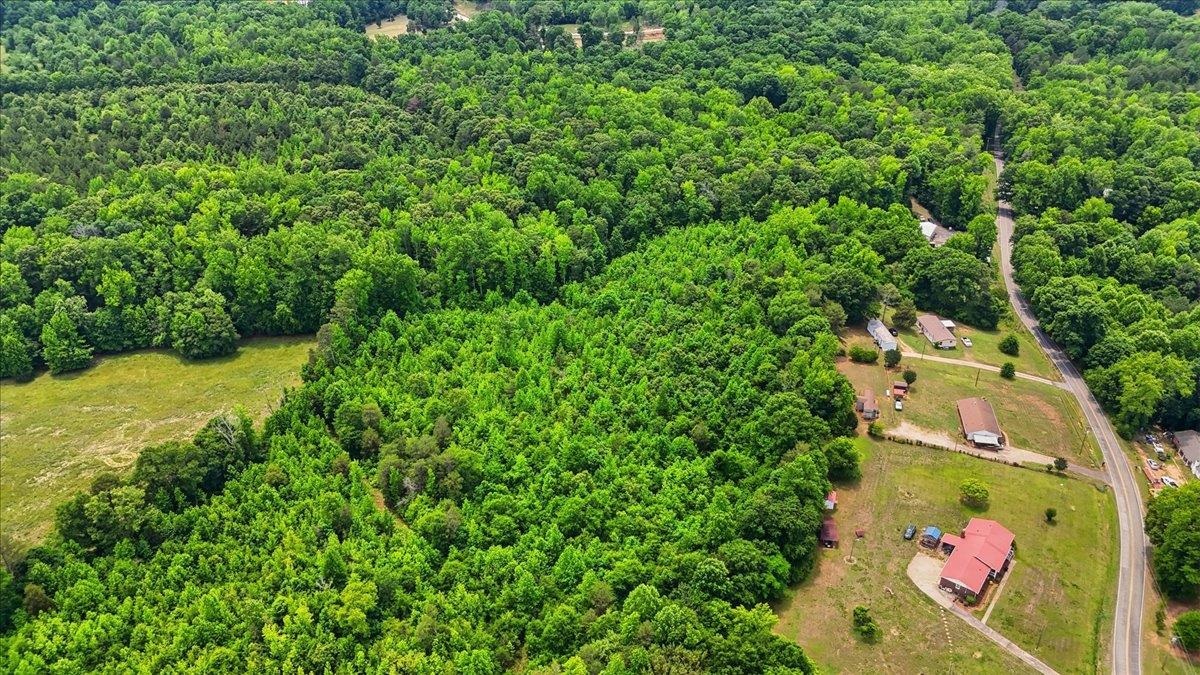 0 Woodville Road Pelzer, SC 29669 - Photo 4 of 12
