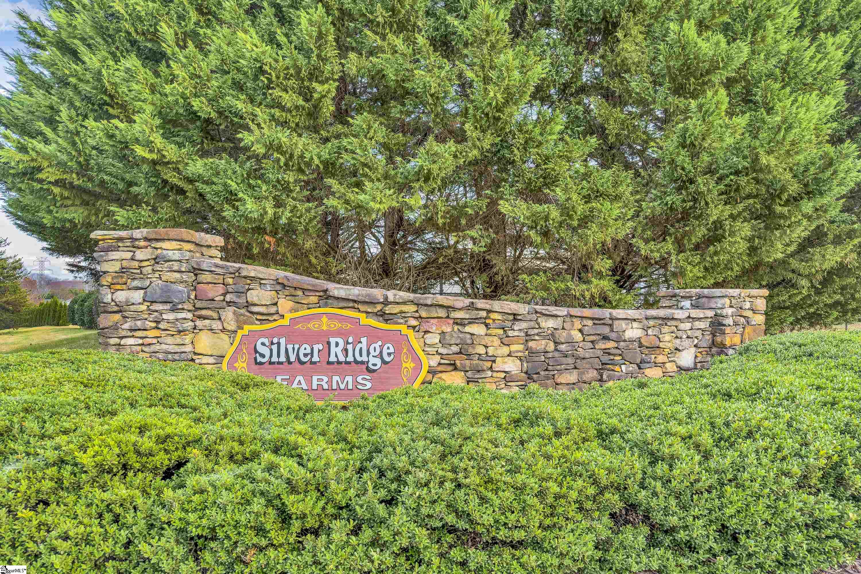 718 Dills Farm Way Greer, SC 29651 - Photo 39 of 40