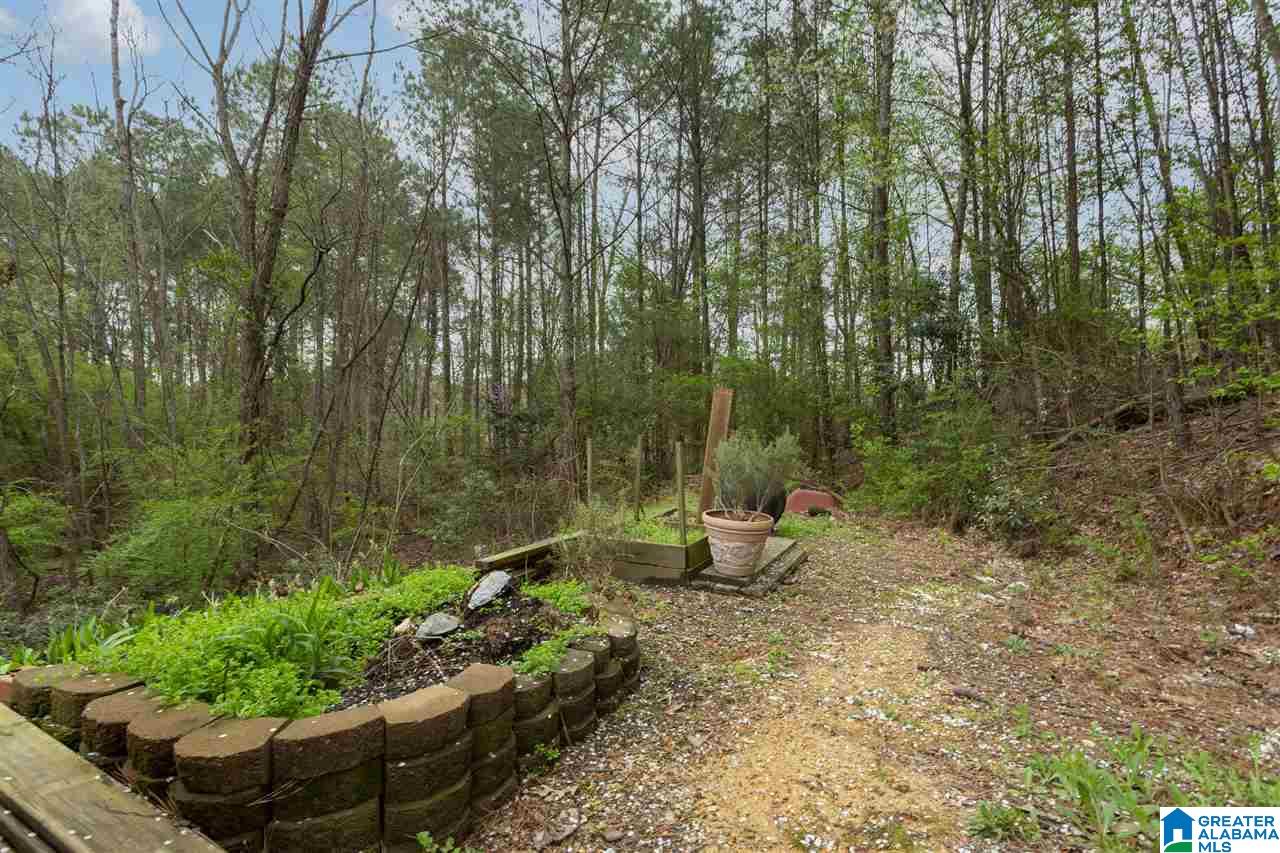 620 Meadow Ridge Drive Birmingham, AL 35242 - Photo 5 of 43