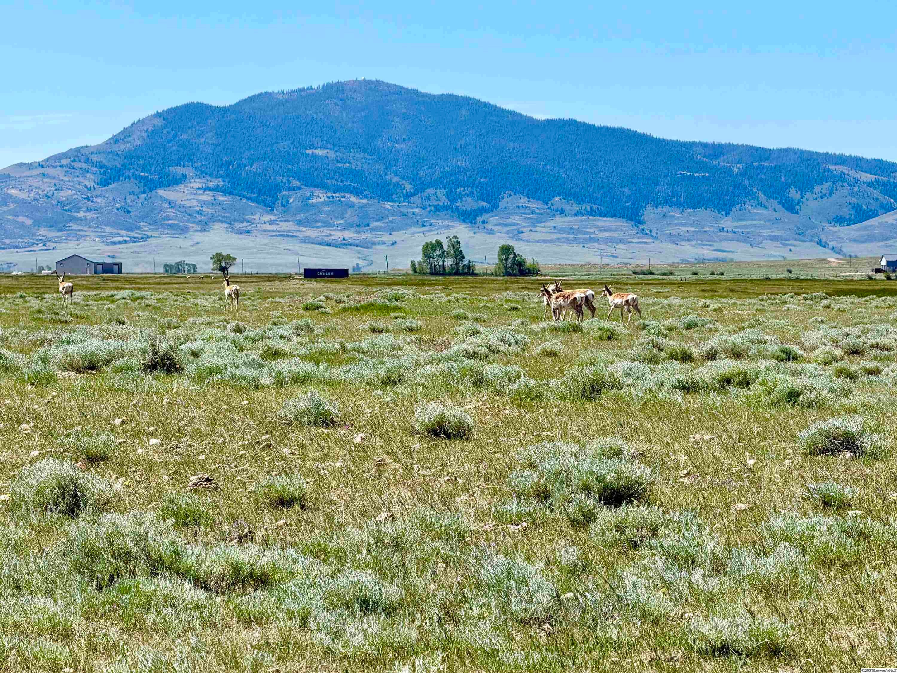 7 Rodeo Road Laramie, WY 82070 - Photo 10 of 22 Gallery Image 10