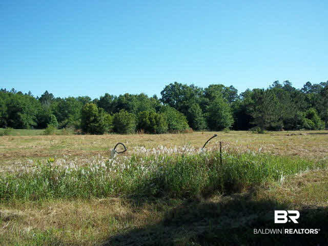 0 Dewberry Lane Elberta, AL 36530 - Photo 1 of 1