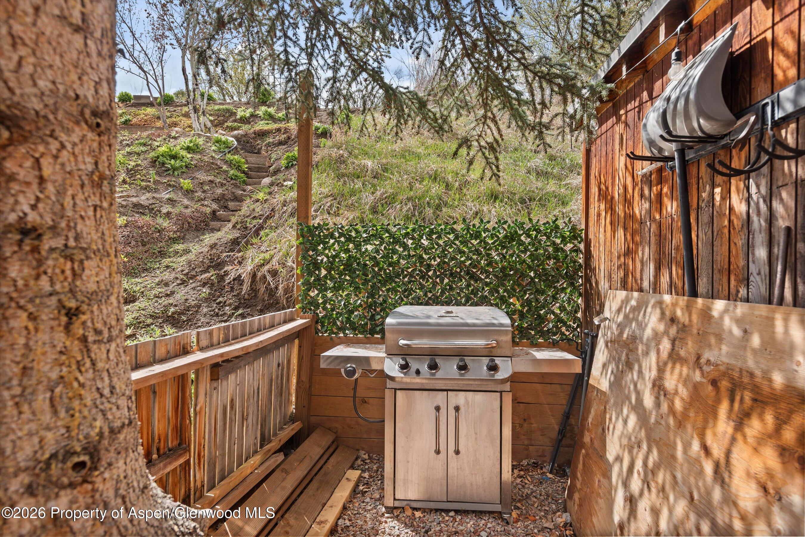 132 Ridge Trail Aspen, CO 81611 - Photo 33 of 38 33-PET_5137