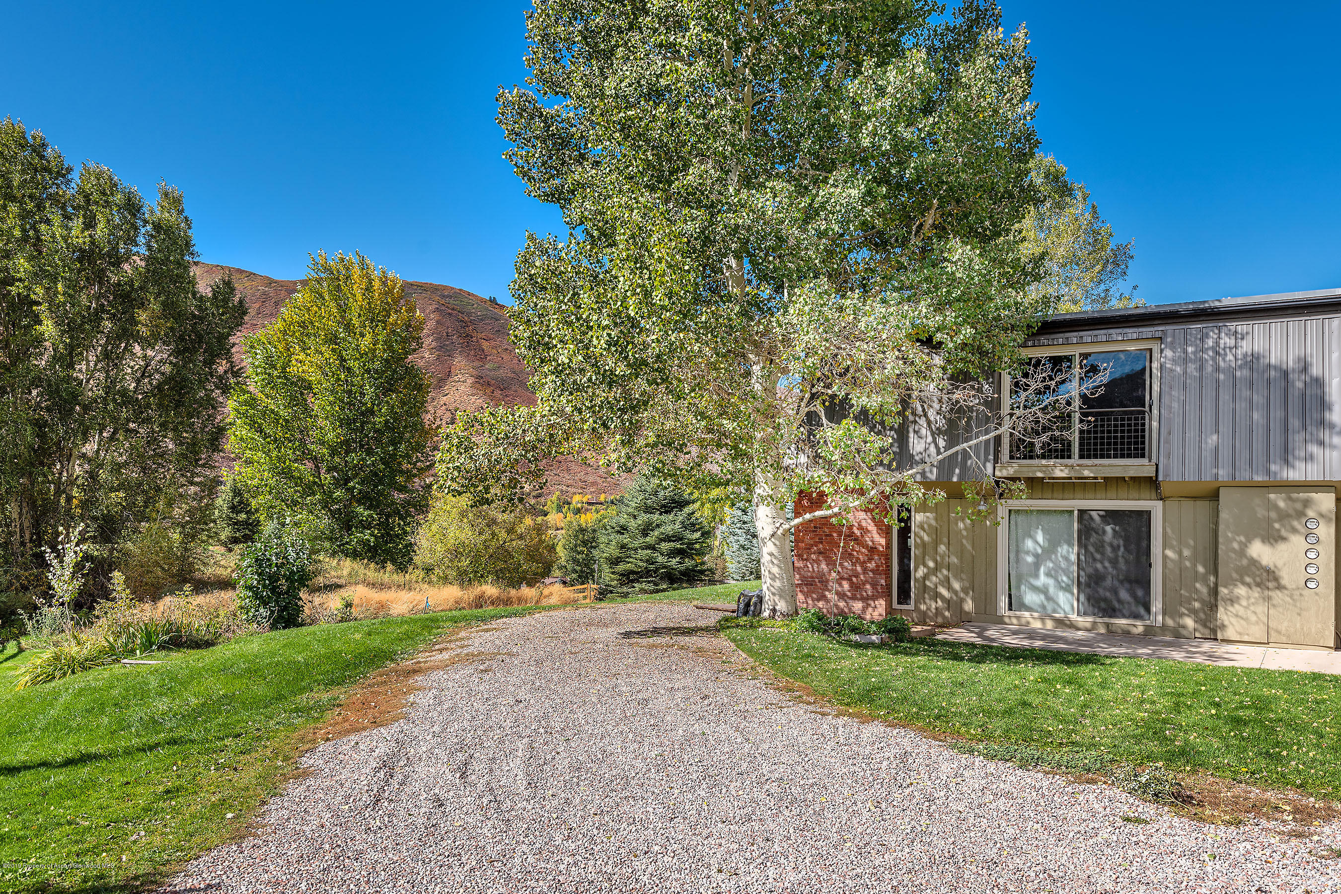 548 Holland Hills Road, Unit 4 Basalt, CO 81621 - Photo 19 of 20 a view of a backyard with potted plants and large tree