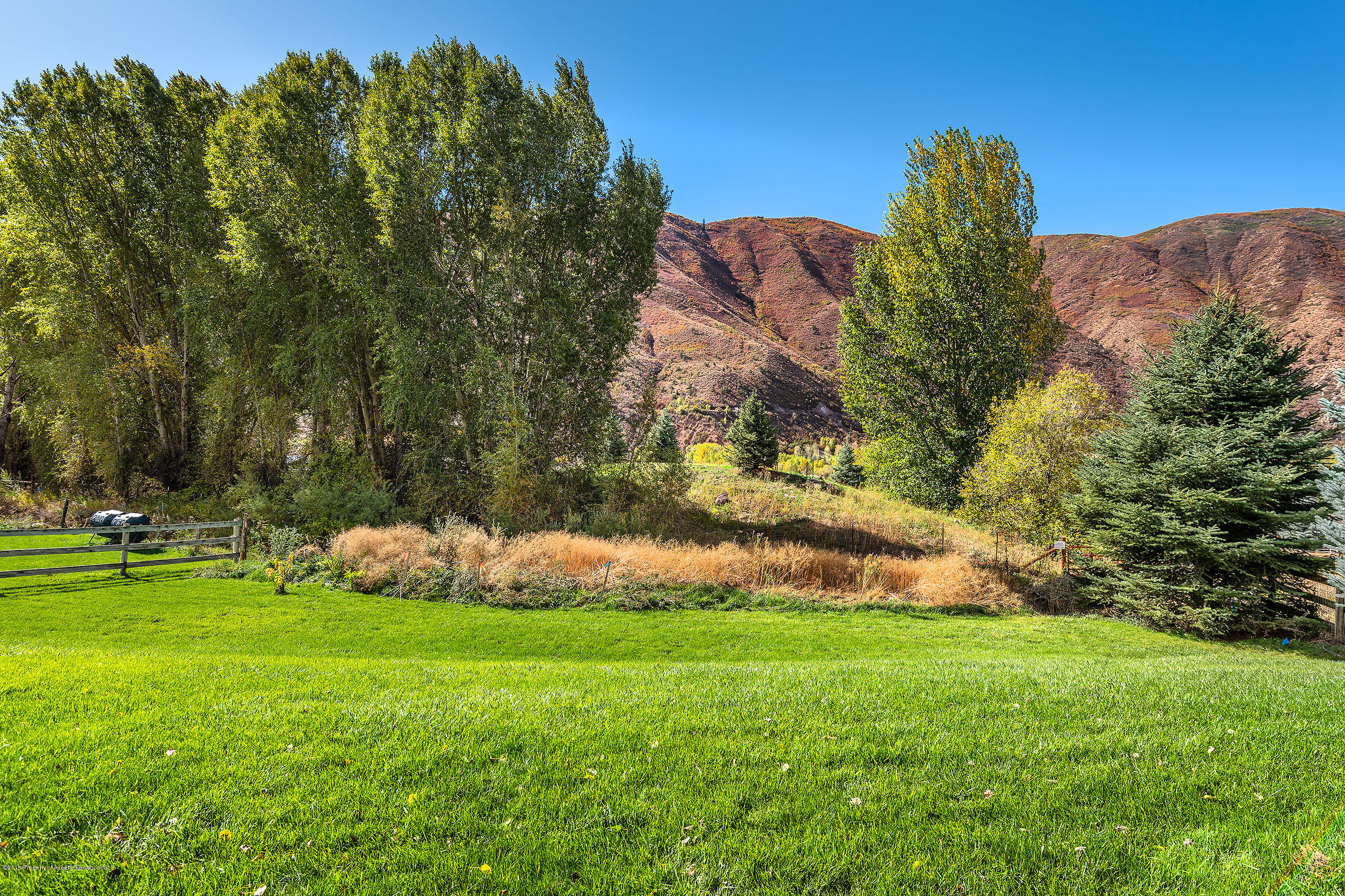 548 Holland Hills Road, Unit 4 Basalt, CO 81621 - Photo 20 of 20 a view of a garden with large trees