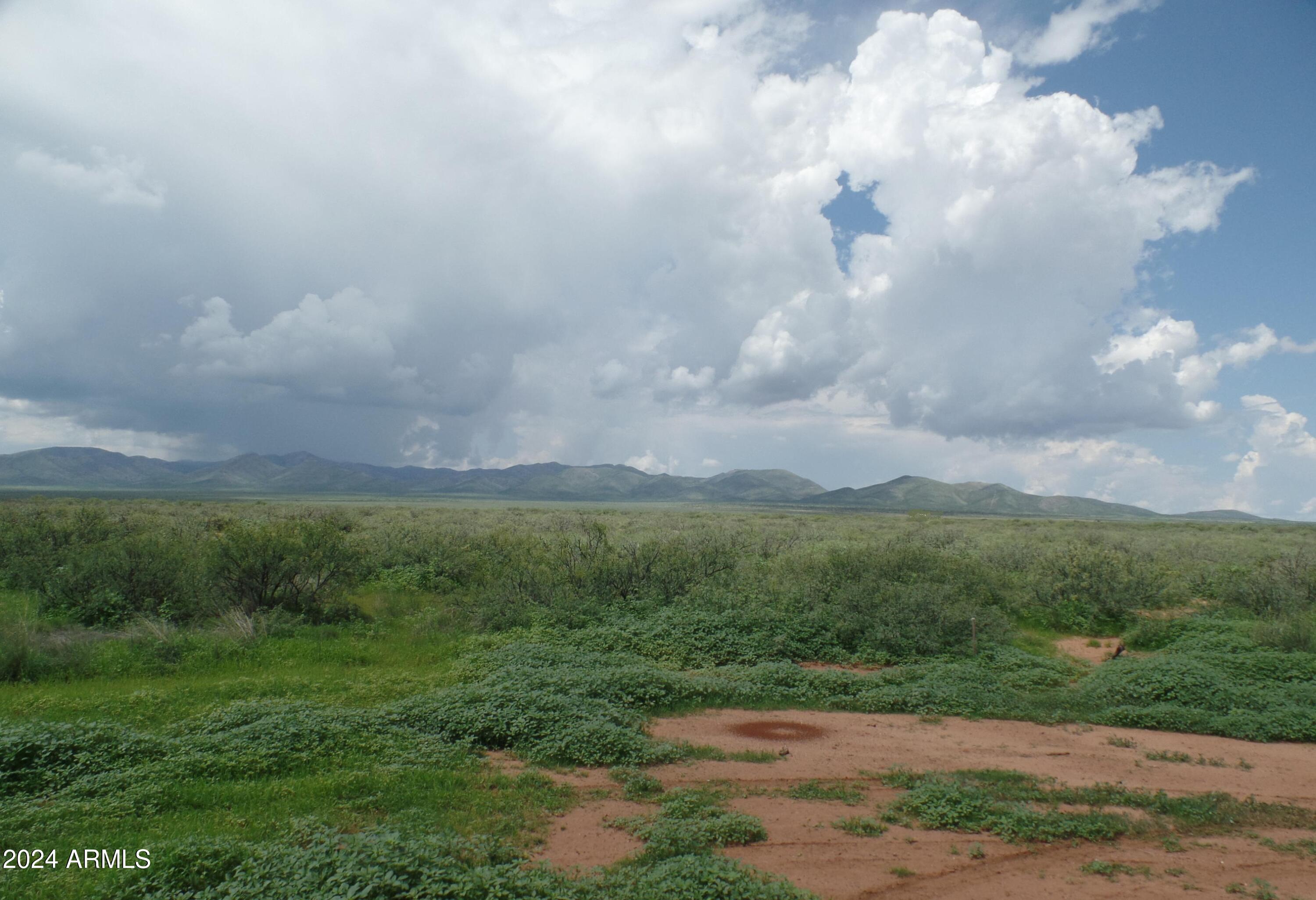 8980 North Robbers Roost Road McNeal, AZ 85617 - Photo 6 of 13 8980 N Robbers Roost RD