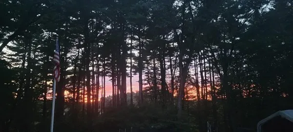 a view of flower garden with wooden fence