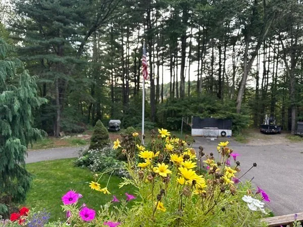 a kitchen with a sink appliances and cabinets