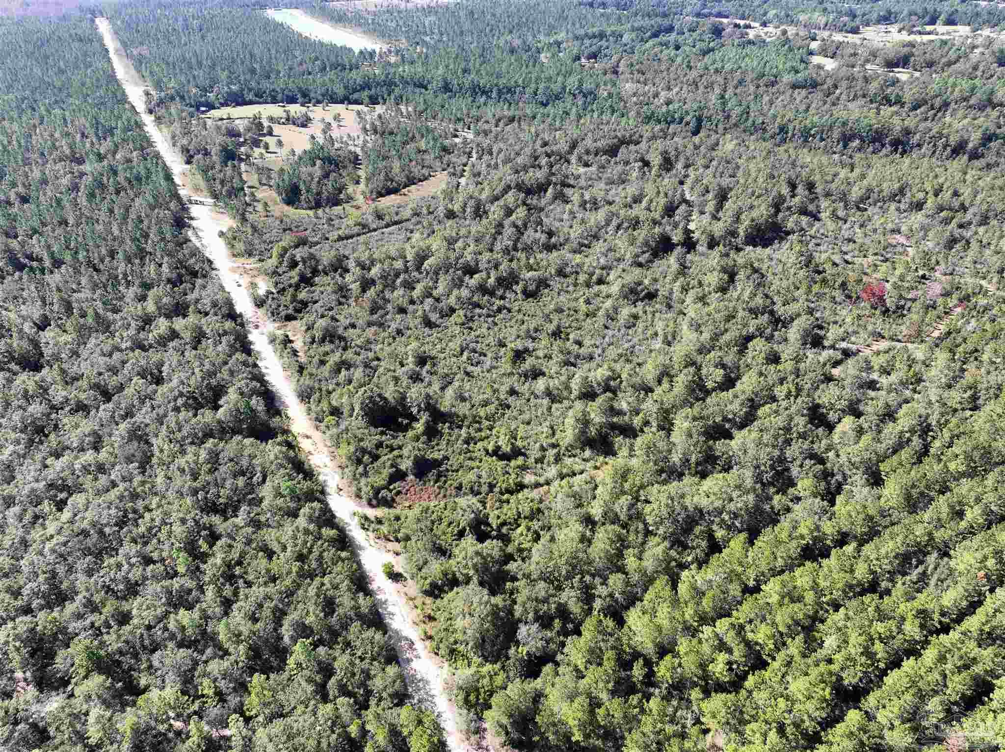 Tbd Walther Road, Unit TBD JACKPOT TRL Milton, FL 32570 - Photo 3 of 5 a view of a field with plants and trees
