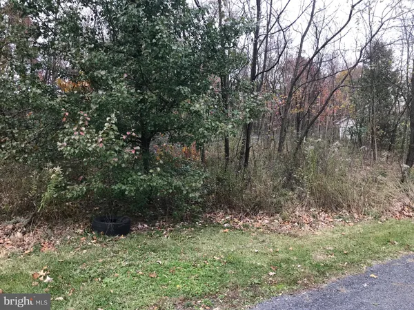 a big yard with lots of green space and deers
