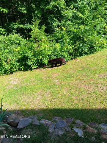 $115,000 | 1081 Cove Road, Unit 1011, Sevierville, TN 37876