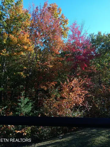 $115,000 | 1081 Cove Road, Unit 1011, Sevierville, TN 37876