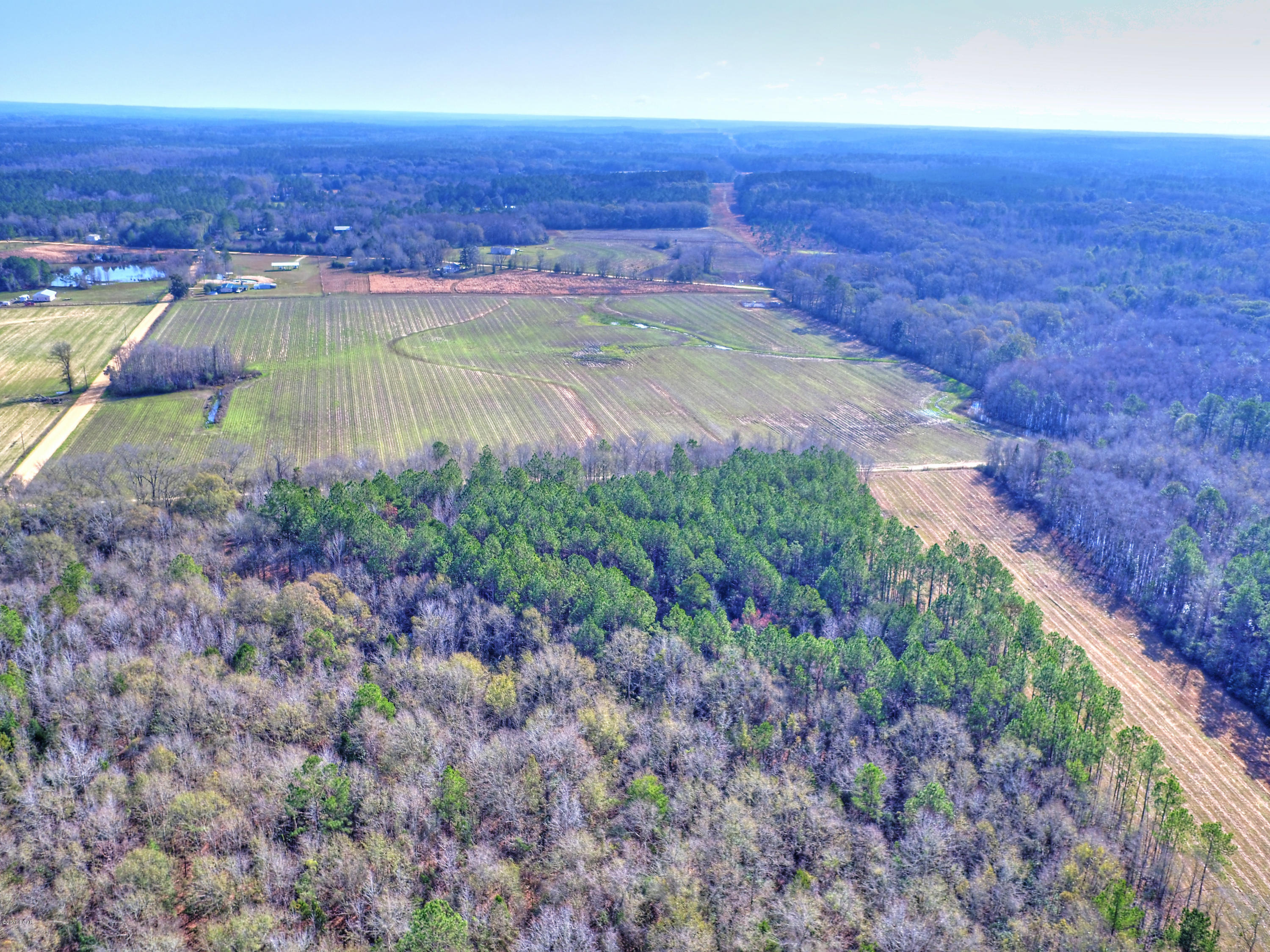 2877 Bruner Dairy Road Vernon, FL 32462 - Photo 72 of 100 Gallery Image 72