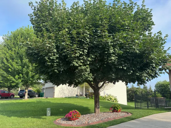 $550,000 | 21436 Foxtail Lane South, Rogers, MN 55374