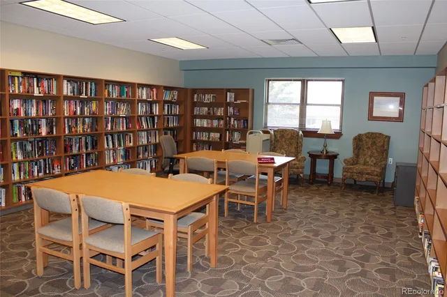 a view of a lounge chairs with a small yard