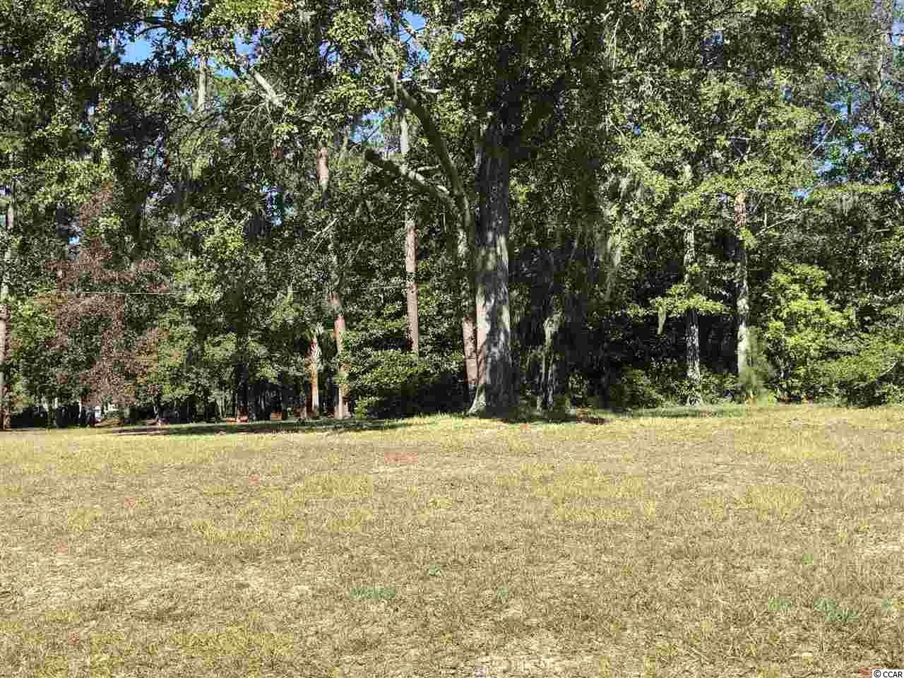 Lot # South Bay Street Georgetown, SC 29440 - Photo 16 of 16