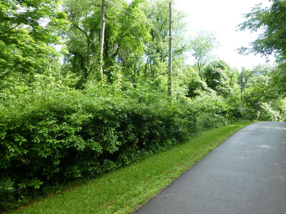 0 Hilltop Road Fredericktown, OH 43019 - Photo 1 of 6 Gallery Image 1