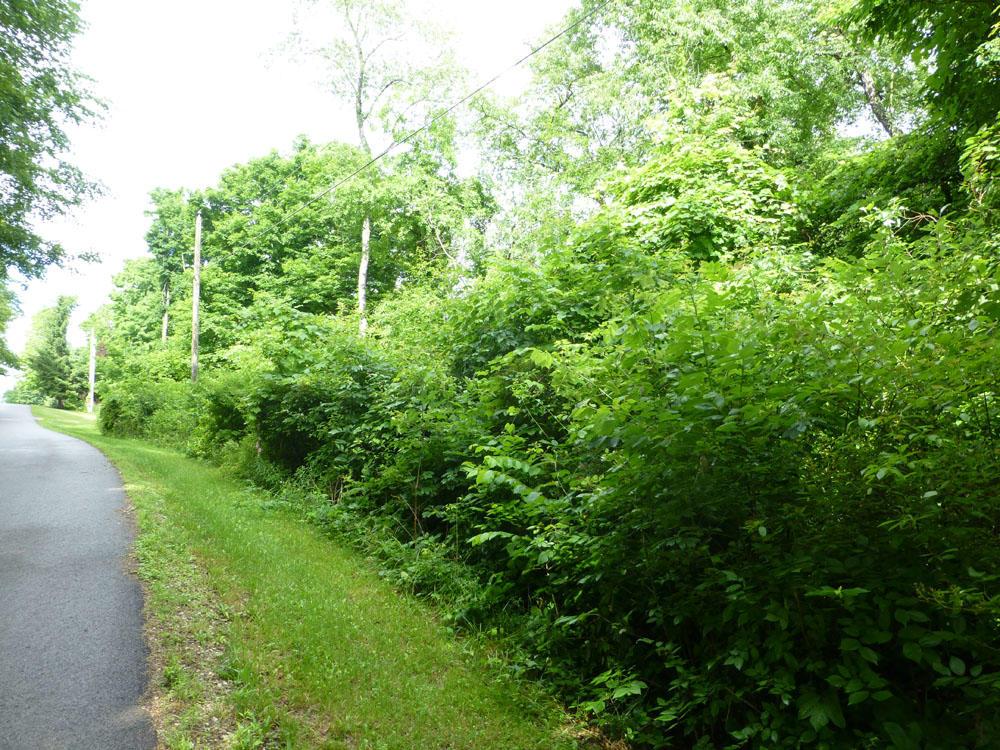 0 Hilltop Road Fredericktown, OH 43019 - Photo 2 of 6 Gallery Image 2
