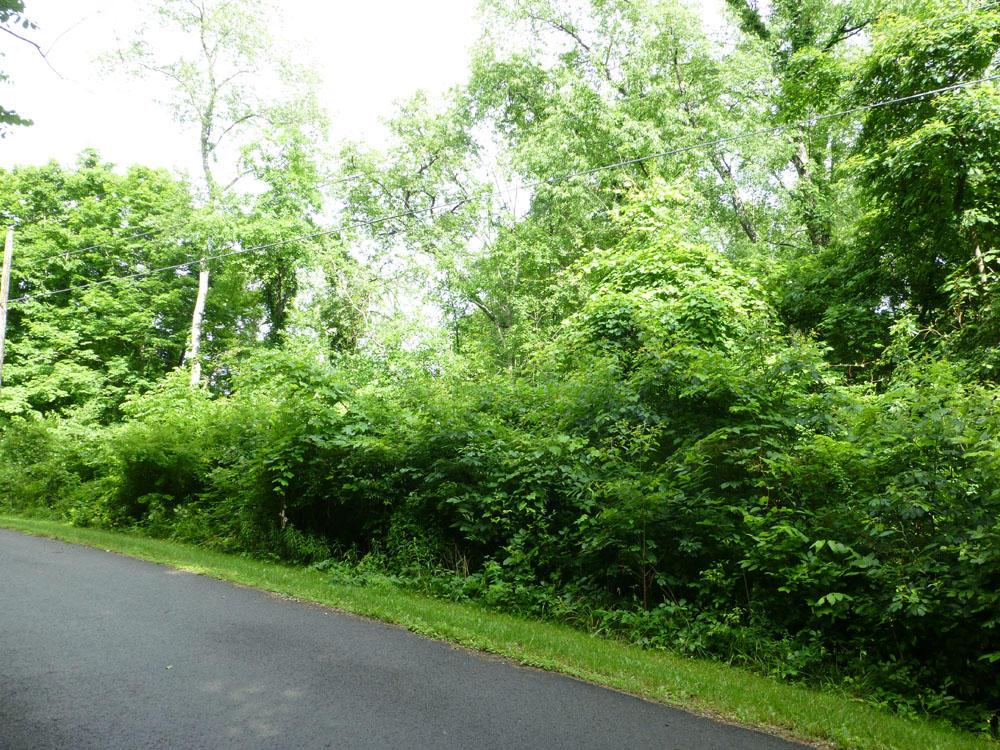 0 Hilltop Road Fredericktown, OH 43019 - Photo 4 of 6 Gallery Image 4