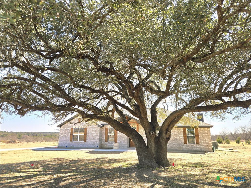 425 County Road 3152 Kempner, TX 76539 - Photo 4 of 27 a view of a yard with large trees