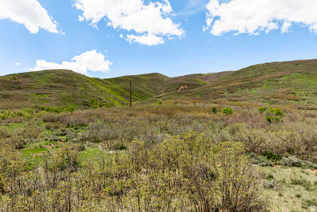978 South Upland Loop, Unit 22 Midway, UT 84049 - Photo 21 of 22