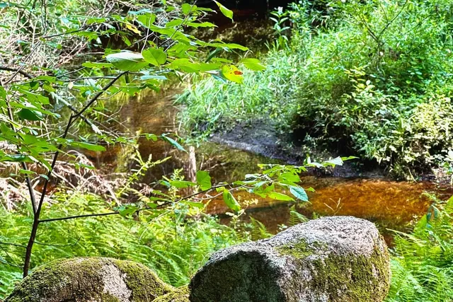 $569,000 | 62 Whittier Highway, Sandwich, NH 03227