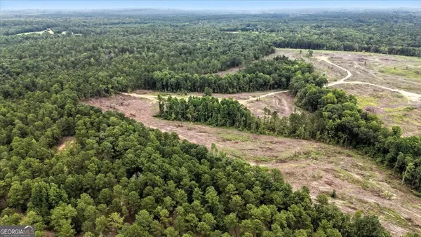 $995,000 | 955 Anna Poole Road, Sparta, GA 31087