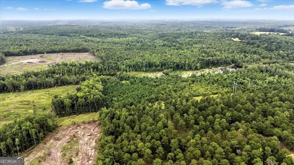 $995,000 | 955 Anna Poole Road, Sparta, GA 31087