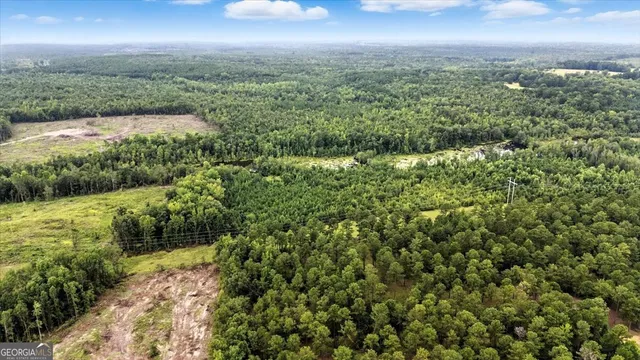 $995,000 | 955 Anna Poole Road, Sparta, GA 31087