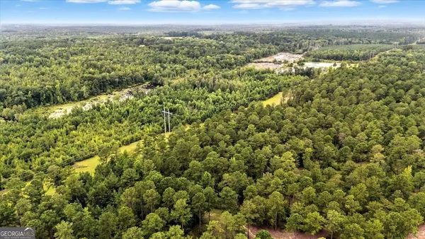$995,000 | 955 Anna Poole Road, Sparta, GA 31087