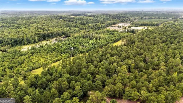 $995,000 | 955 Anna Poole Road, Sparta, GA 31087