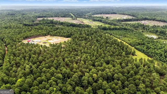 $995,000 | 955 Anna Poole Road, Sparta, GA 31087