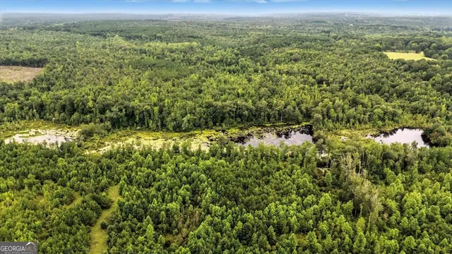 $995,000 | 955 Anna Poole Road, Sparta, GA 31087