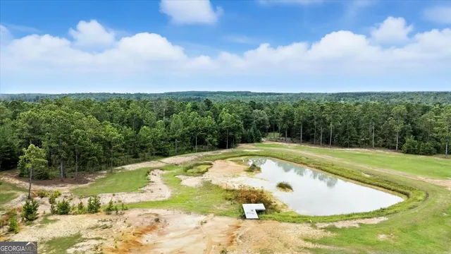 $995,000 | 955 Anna Poole Road, Sparta, GA 31087