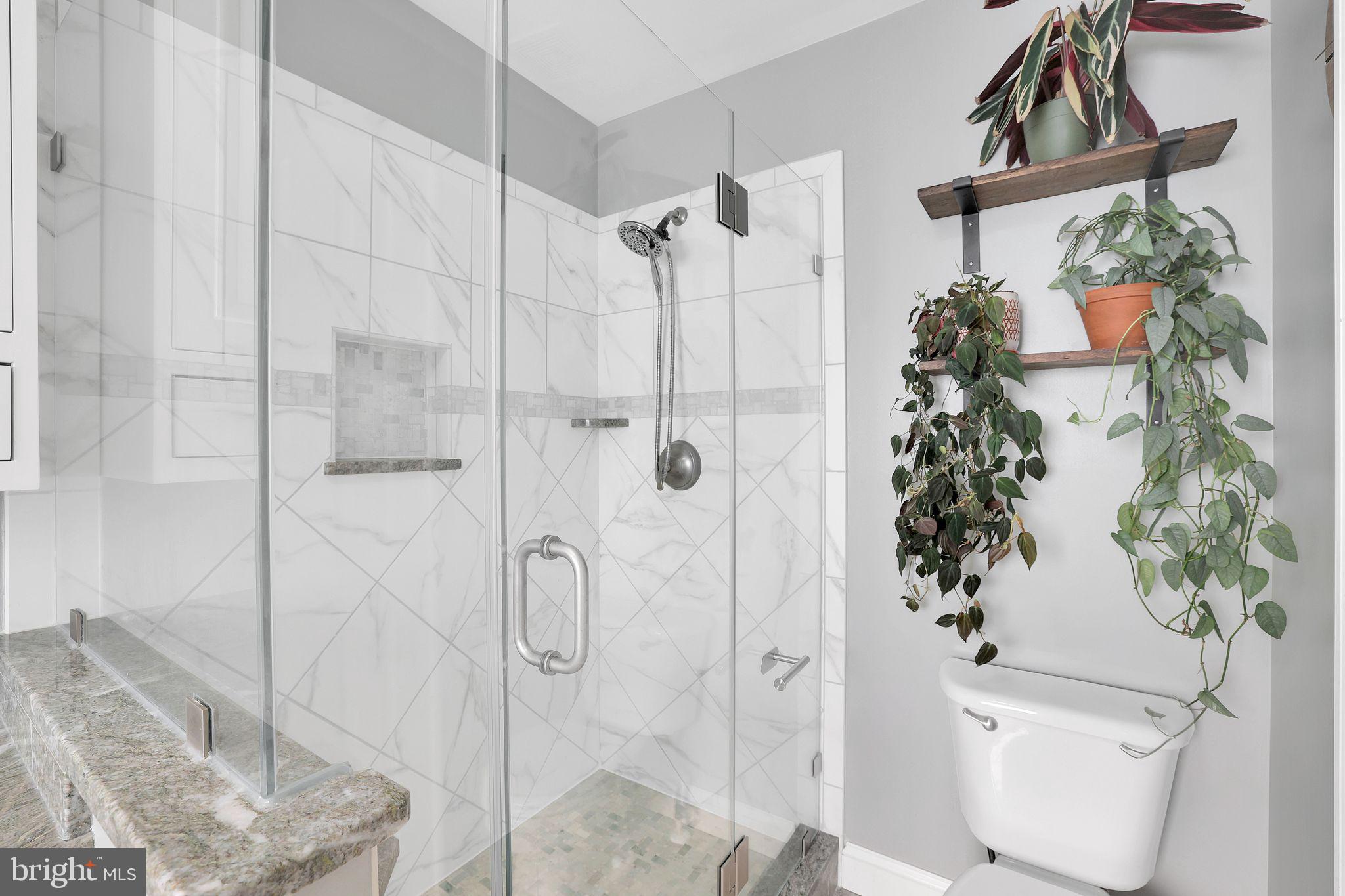 22952 Regent Terrace Sterling, VA 20166 - Photo 30 of 64 a bathroom with a shower and a plant in it