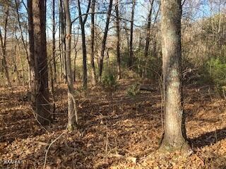 0 Holly Glen Road Decatur, TN 37322 - Photo 1 of 9