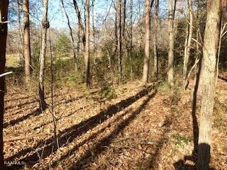 0 Holly Glen Road Decatur, TN 37322 - Photo 3 of 9
