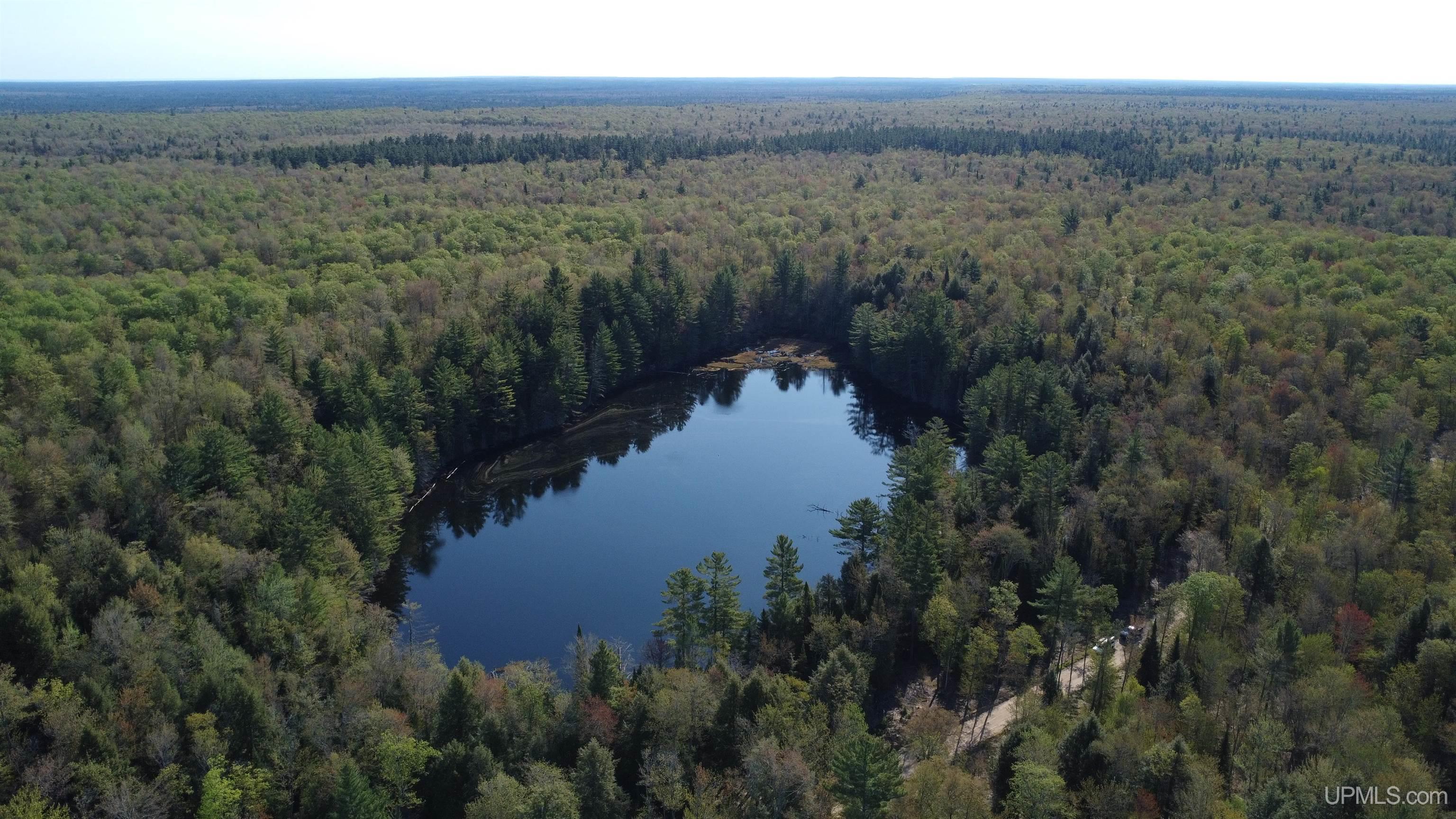 On Wolf Lake Road McMillan, MI 49853 - Photo 1 of 37