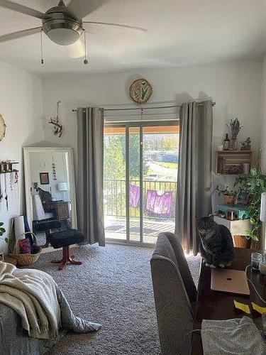 32 Flat Tops Court Eagle, CO 81631 - Photo 8 of 18