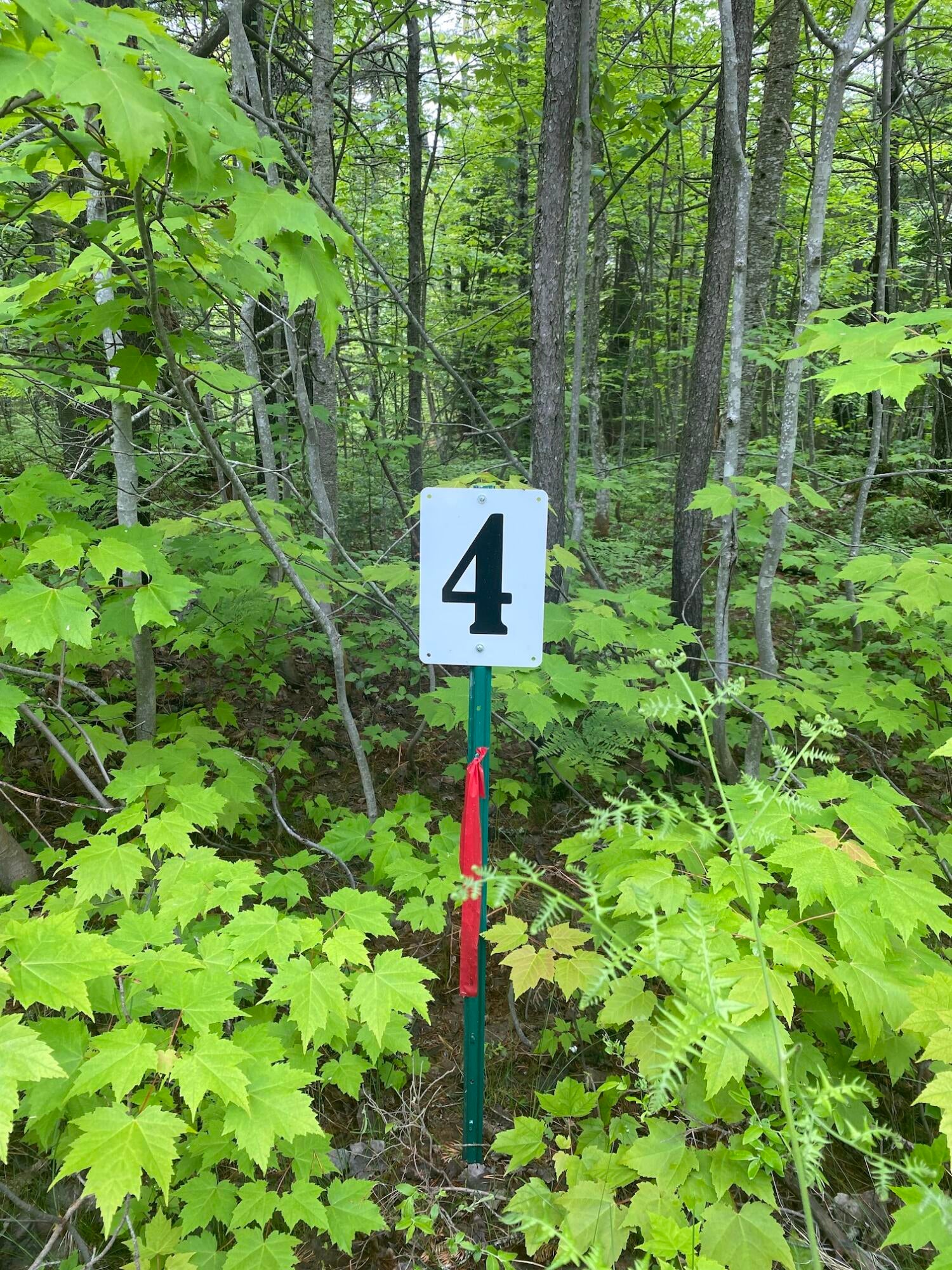 14777 North Whitefish Point Road Paradise, MI 49768 - Photo 2 of 4 Gallery Image 2