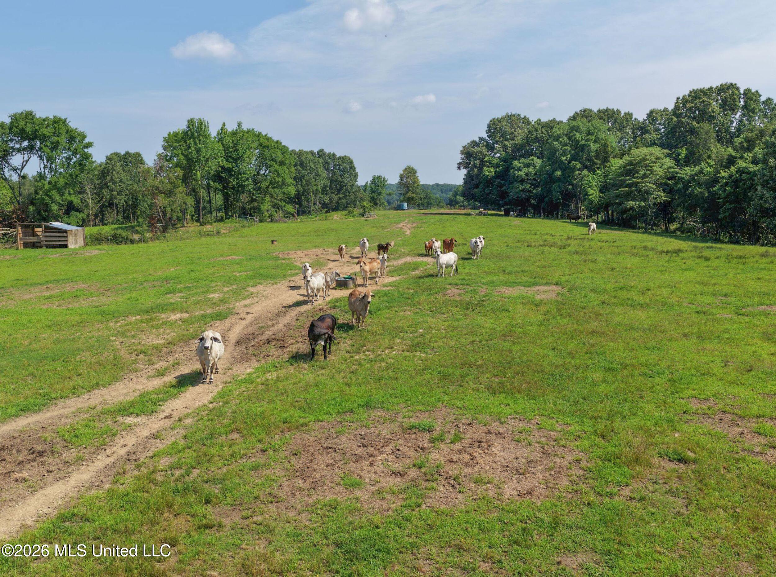 2169 Slocum Road Hernando, MS 38632 - Photo 40 of 94 5slcm32
