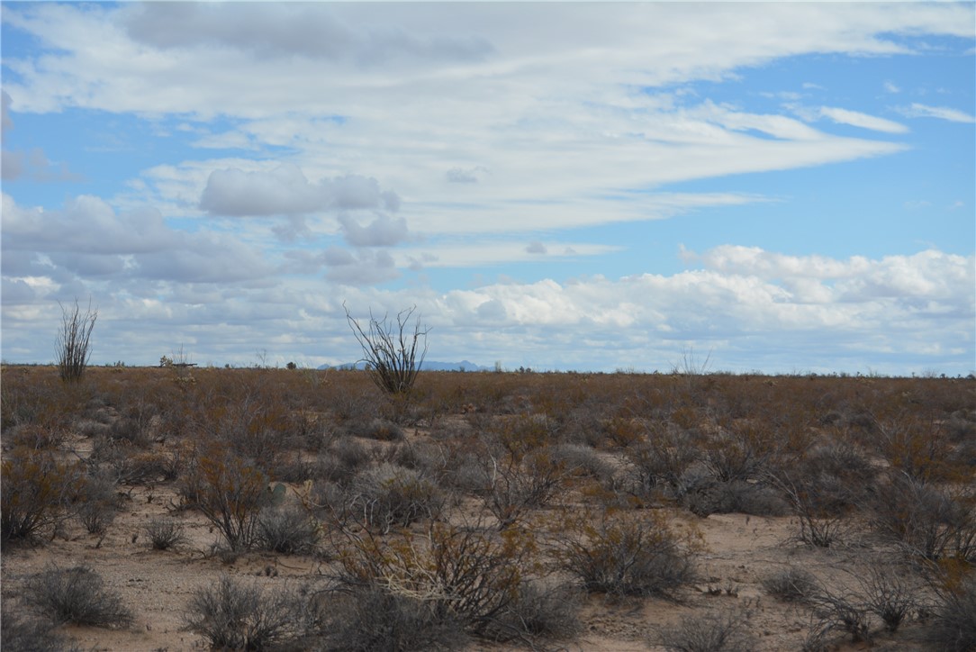 207-35-005 South Arlington Road Yucca, AZ 86438 - Photo 48 of 92