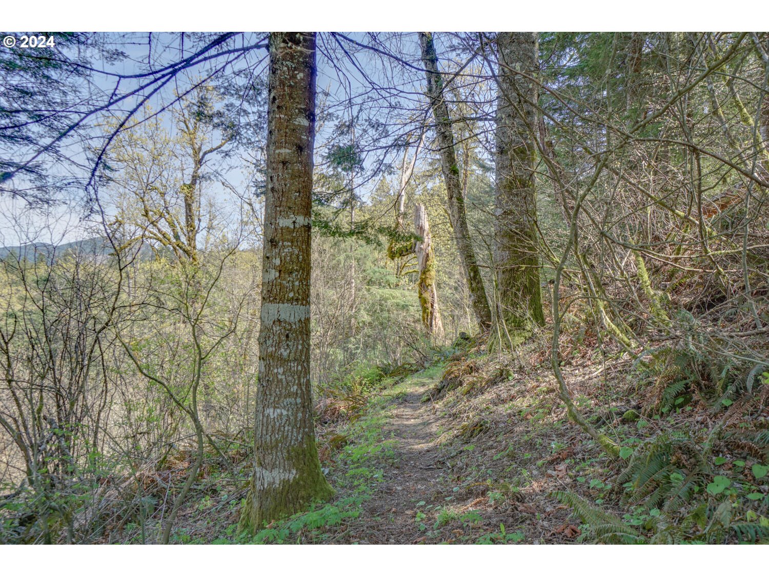 211 Wantland Road Washougal, WA 98671 - Photo 26 of 32 Gallery Image 26