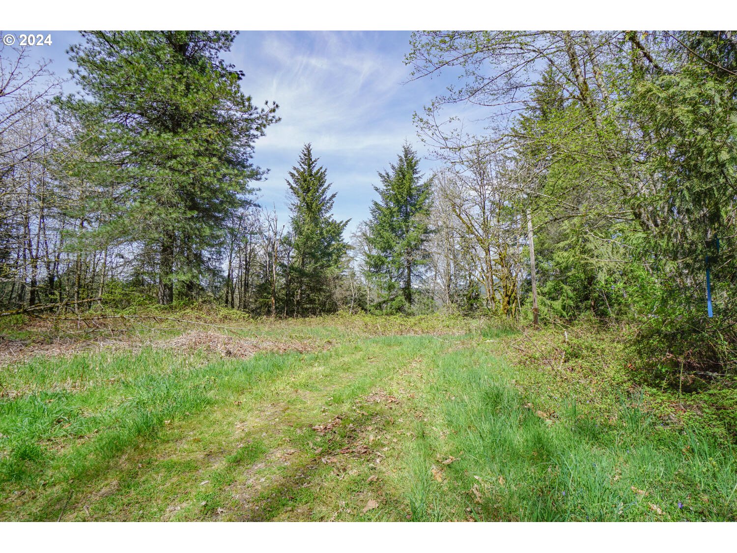 211 Wantland Road Washougal, WA 98671 - Photo 28 of 32 Acreage